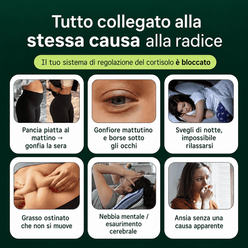 Rhodiola Rosea Nervia™ - Adattogeno naturale - gestisci meglio lo stress, l'energia e il gonfiore