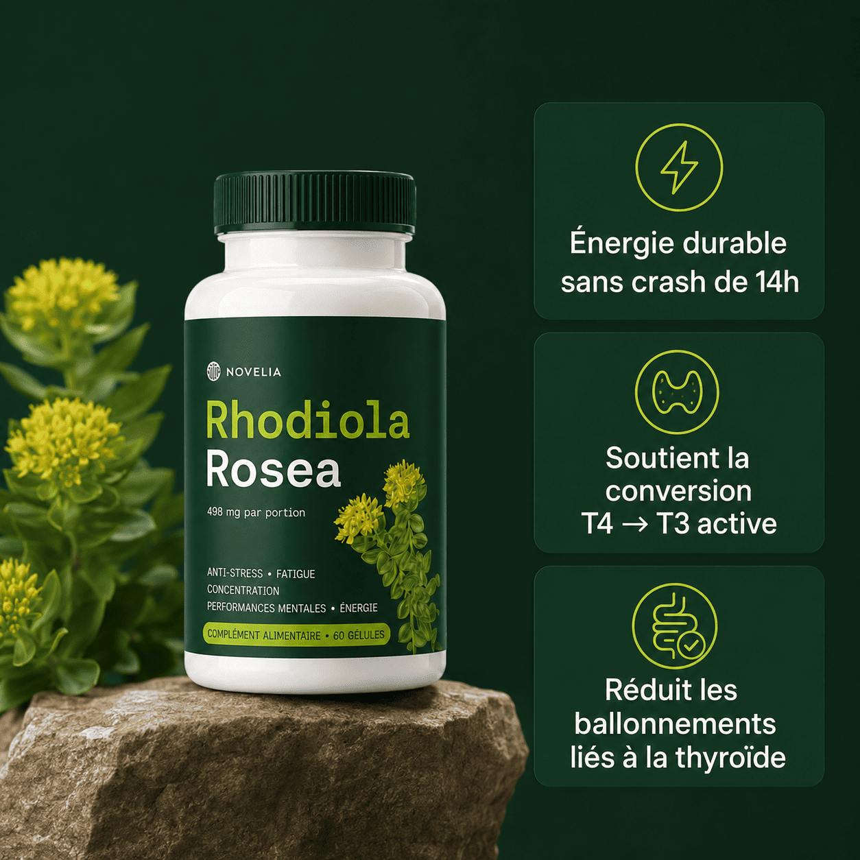 Rhodiola Rosea Novelia™ - Adaptogène naturel - mieux gérer le stress, l’énergie et les ballonnements
