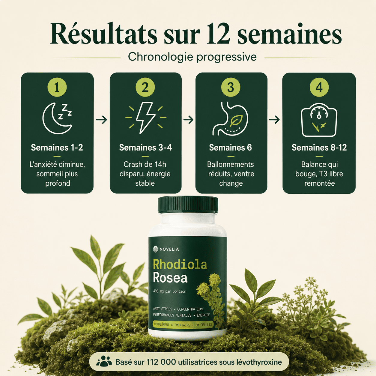 Rhodiola Rosea Novelia™ - Adaptogène naturel - mieux gérer le stress, l’énergie et les ballonnements
