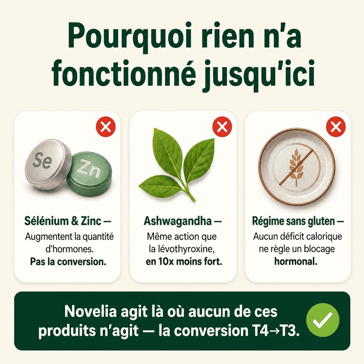 Rhodiola Rosea Novelia™ - Adaptogène naturel - mieux gérer le stress, l’énergie et les ballonnements