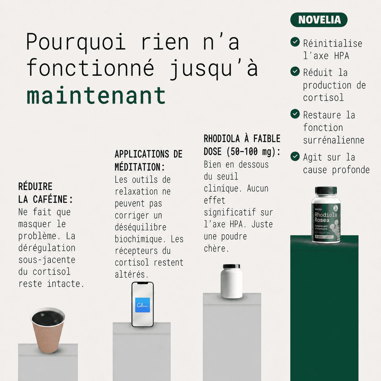 Rhodiola Rosea Novelia™ - Adaptogène naturel - mieux gérer le stress, l’énergie et les ballonnements
